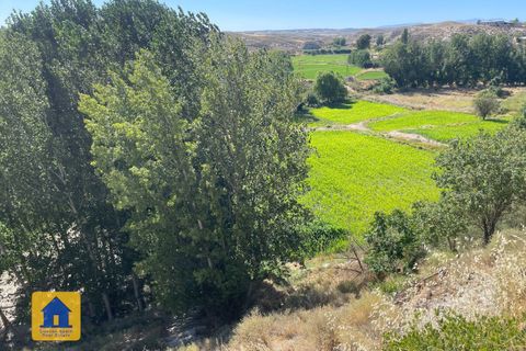 Cave house i Castillejar, Granada, Castillejar - € 99.000 | Ref: cs2207 - foto 16